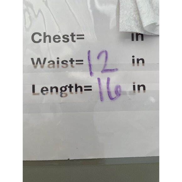 SO Elastic Waist Pull On Mini Skater Skirt Women Medium Peach White Feminine NEW - Picture 5 of 9